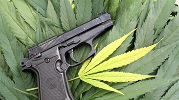 
      
        Colorado Proposal Granting Gun Rights to Marijuana Users Returns
      
    