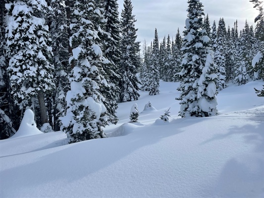 Up to 20 inches of snow forecast in northwest Colorado