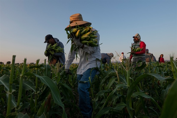 This organization has effectively eliminated agricultural worker abuse. Will...