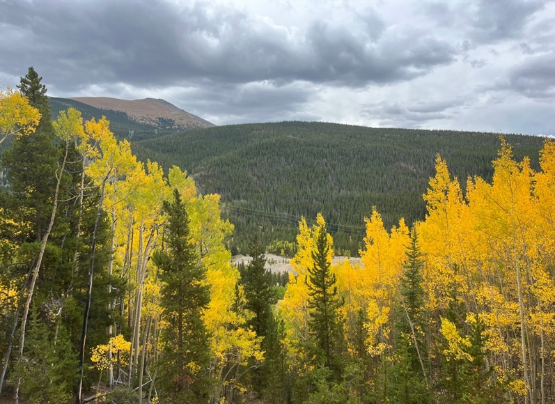 Mountain town adds leaf-peeping updates and photos to tourism website