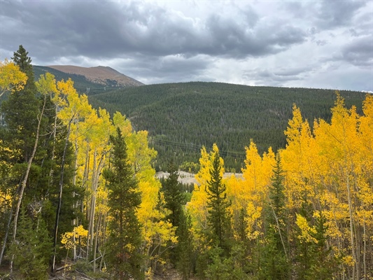 Mountain town adds leaf-peeping updates and photos to tourism website