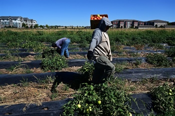 Palizzi Farm worries developer’s pipeline plans — allowed by eminent domain ruling — will hurt business