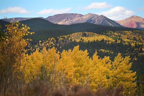 Fall colors peaking all over Colorado, from Steamboat Springs to Durango