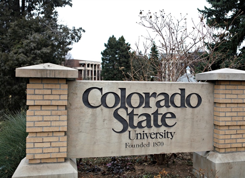 Parents of CSU freshman who died of an allergic reaction in 2022 sue university