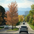 Denver's prolonged heat could threaten peak fall colors in Denver