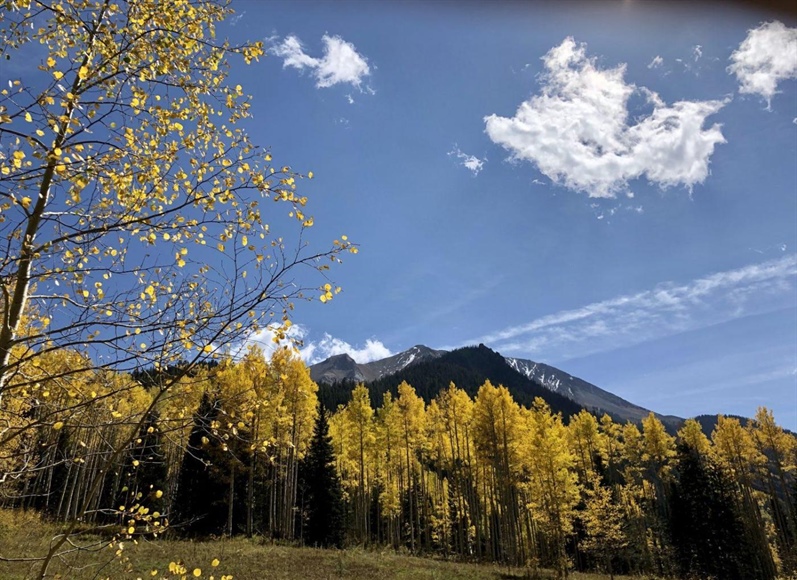 Missing hiker found dead in Pitkin County’s White River National Forest