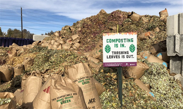 Dead leaf, pumpkin drop-off recycling program opens in Denver