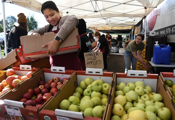 What’s in season? A guide to Colorado-grown fall produce