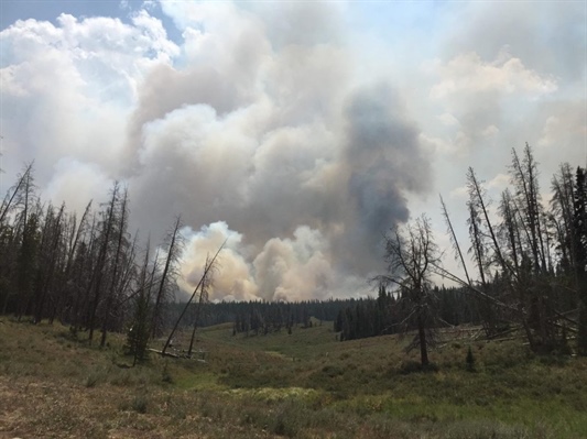 Medicine Bow-Routt National forests enter Stage 1 fire restrictions