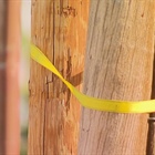 A Colorado resident is concerned about a leaning power pole; "We're in danger."