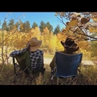 Outdoor Colorado: Go on leaf-peeping adventure to find fall colors