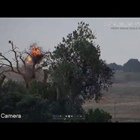 Eagle survives after lightning strikes nest