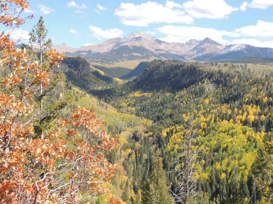 Group associated with polygamous sect builds fences on US Forest Service lands