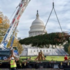 US Capitol Christmas tree to stop in 2 Colorado cities on national tour