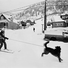 Colorado claims two of the most dog-friendly ski resorts in the country