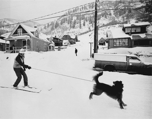 Colorado claims two of the most dog-friendly ski resorts in the country