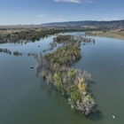 Thousands of dead, dying trees to be removed from Chatfield State Park