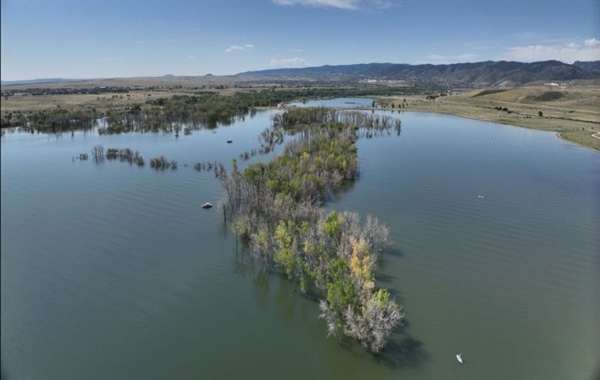 Thousands of dead, dying trees to be removed from Chatfield State Park