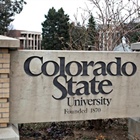 Parents of student who died from allergic reaction in residence hall sue CSU