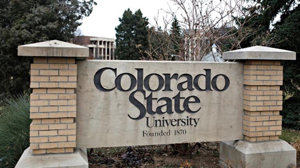 Parents of student who died from allergic reaction in residence hall sue CSU