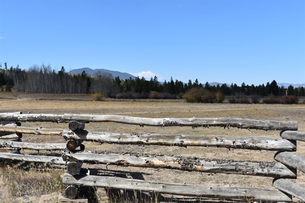 Will Grand Park’s meadows be placed in a conservation easement?