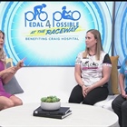 Pedal 4 Possible raises money for Colorado’s Craig Hospital