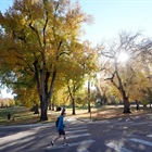 Second shelter-in-place issued for CSU Wednesday for assault with a knife on the Oval