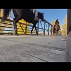 Bikes vs. horses: Who has the right of way on Colorado trails?