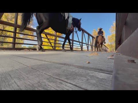 Bikes vs. horses: Who has the right of way on Colorado trails?