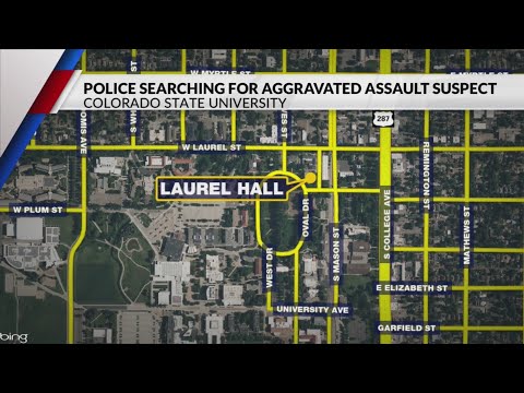 Police searching for assault suspect at CSU