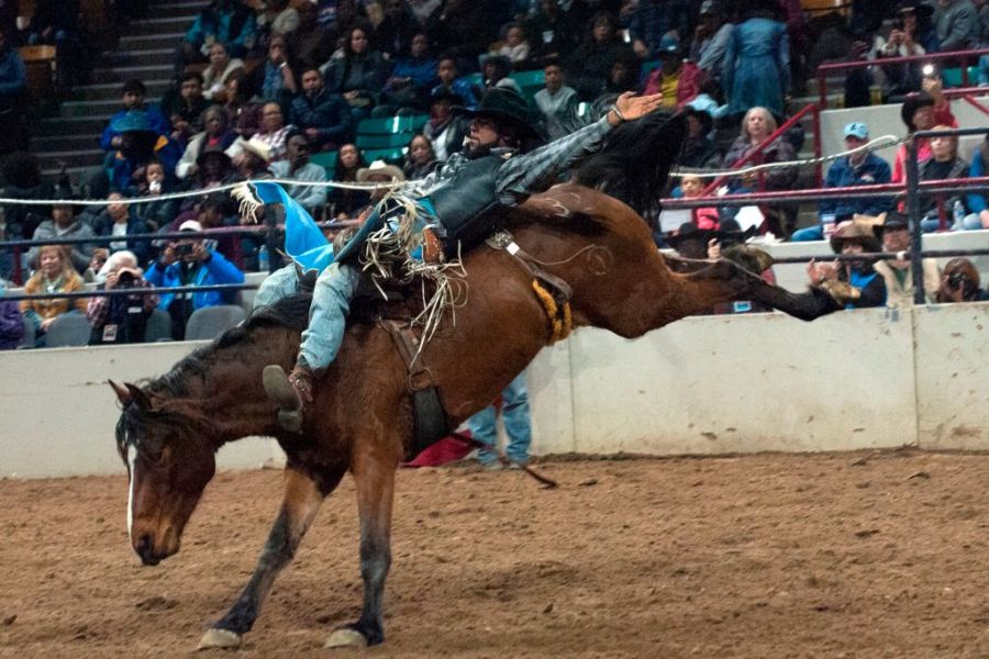 Denver's National Western Stock Show announces 2025 event schedule