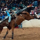 Denver's National Western Stock Show announces 2025 event schedule