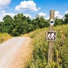 Man, 21, sentenced for exposing himself to female hikers on Jeffco trails