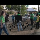 Green infrastructure: Denver transportation department plants trees along 14th