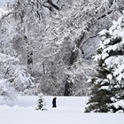 Colorado weather: Another 10 inches of snow possible for San Juan mountains, rain falls in Denver