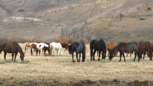 Guest ranch in Granby recalls the East Troublesome fire