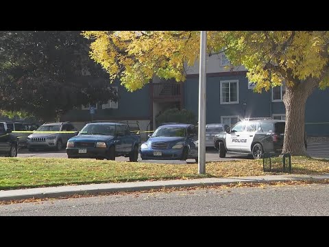 18-year-old held mother hostage before deadly shootout: Aurora police