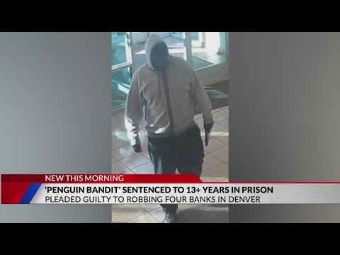 ‘Penguin bandit’ sentenced for series of bank robberies