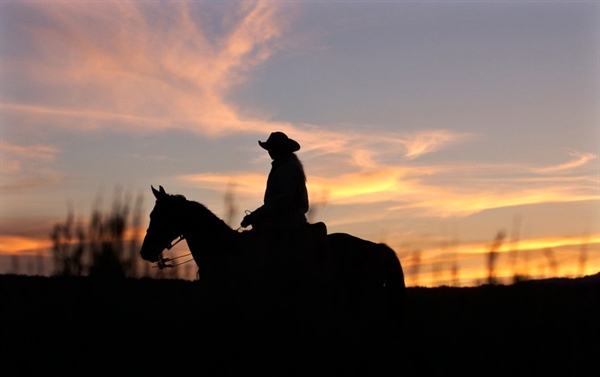 Ahead of second wolf release, CPW offers conflict reduction training to ranchers