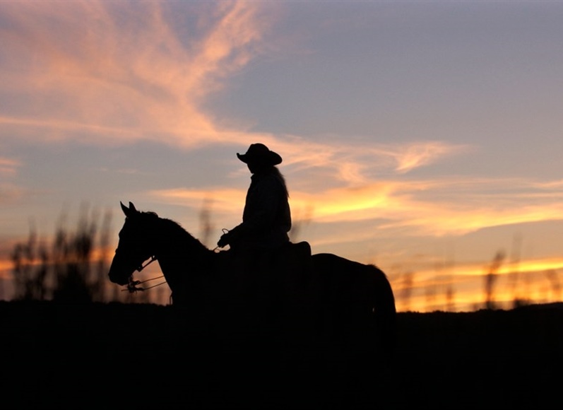 Ahead of second wolf release, CPW offers conflict reduction training to ranchers