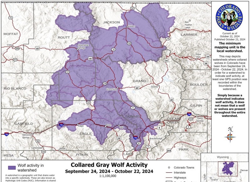 Here’s what Colorado’s wolves have been up to the last month   