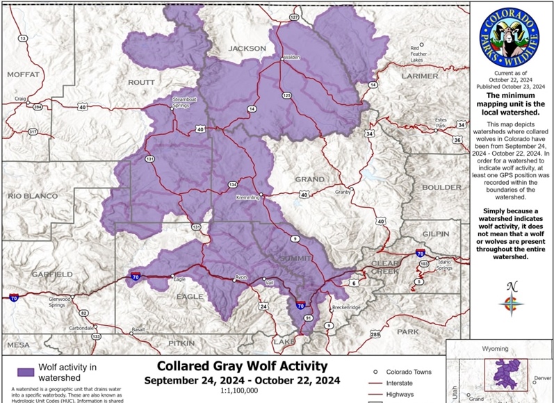 Map shows where Colorado’s known free-roaming wolves traveled in October