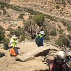 Paleontologists unearth 70-million-year-old 'swamp dweller' fossil in Colorado