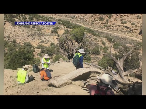 Paleontologists unearth 70-million-year-old ‘swamp dweller’ fossil in Colorado