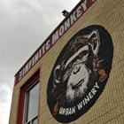 Denver’s Infinite Monkey Theorem is closing after 15 years