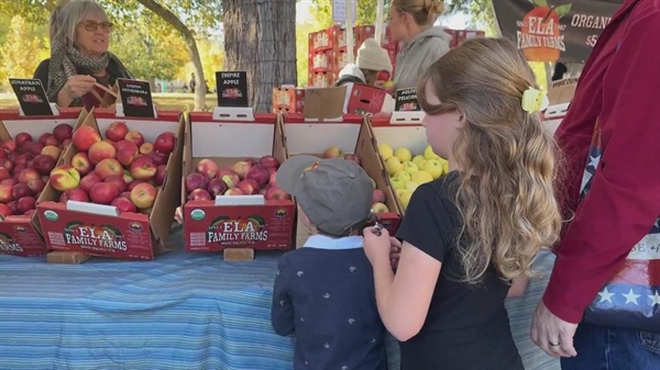 How Boulder County aims to make fruits and veggies more accessible for kids