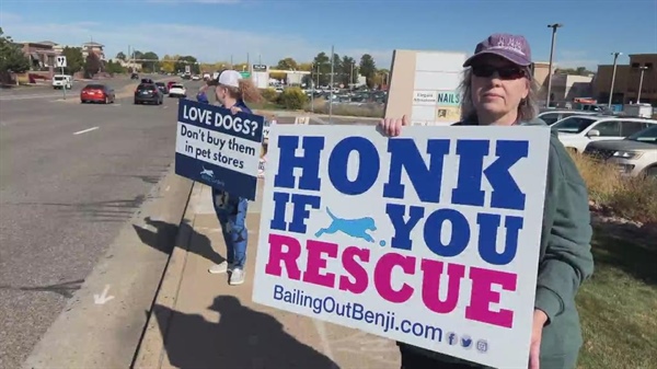 Centennial pet store owner disputes protesters' claim that store gets dogs...