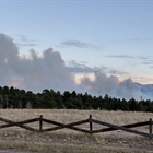 Highland Lake Fire grows to 98 acres overnight