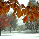 Colorado snow totals for Oct. 30, 2024