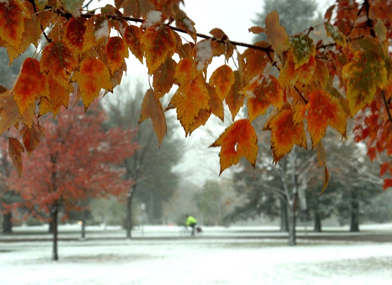 Colorado snow totals for Oct. 30, 2024